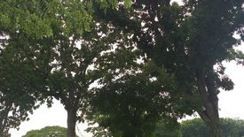 Land for sale in Cabilang Baybay, Cavite