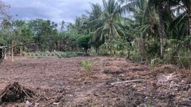 Land for sale in Najandig, Negros Oriental