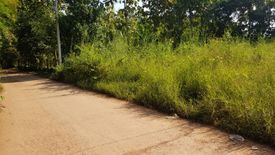 Land for sale in Ngio Ngam, Uttaradit