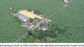 Land for sale in Alejal, Davao del Norte