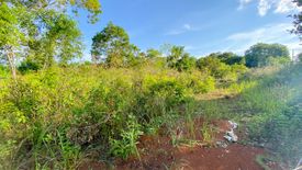 Land for sale in Libaong, Bohol