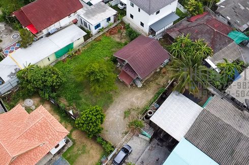 Land for sale in Yang Noeng, Chiang Mai