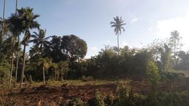 Land for sale in Mangas I, Cavite