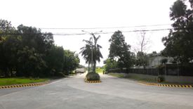 Land for rent in Pulong Santa Cruz, Laguna