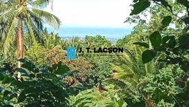 Land for sale in Apolong, Negros Oriental
