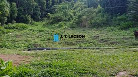 Land for sale in Apolong, Negros Oriental