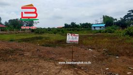 Land for sale in Bo Ta Lo, Phra Nakhon Si Ayutthaya