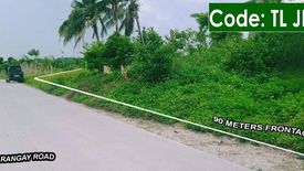 Land for sale in Tananas, Cebu