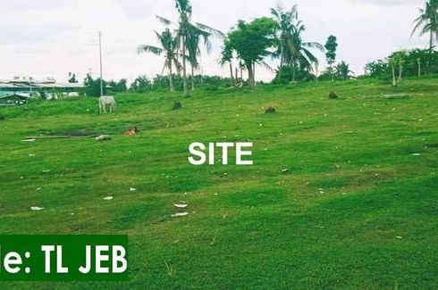 Land for sale in Tananas, Cebu