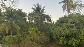 Land for sale in Canasagan, Siquijor