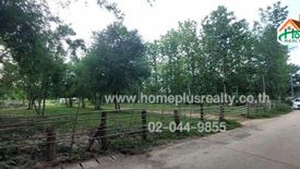 Land for sale in Doi Tao, Chiang Mai