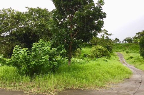 Land for sale in Amuyong, Cavite