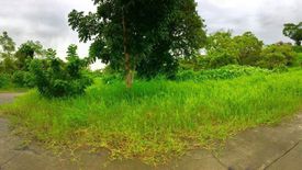 Land for sale in Amuyong, Cavite