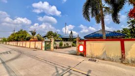 Land for Sale or Rent in Phanat Nikhom, Chonburi
