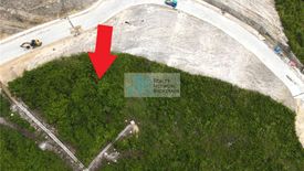Land for sale in Guadalupe, Cebu