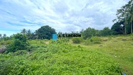Land for sale in Calangag, Negros Oriental