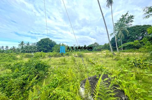 Land for sale in Calangag, Negros Oriental