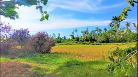 Land for sale in San Isidro, Bohol