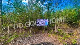 Land for sale in Bang Luang, Nakhon Pathom