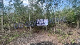 Land for sale in Bang Luang, Nakhon Pathom