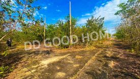 Land for sale in Bang Luang, Nakhon Pathom