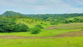 Land for sale in Ilihan, Cebu