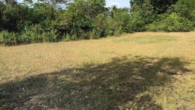 Land for sale in Dao, Bohol