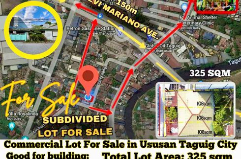 Land for sale in Ususan, Metro Manila