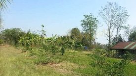 Land for sale in Na Ko, Phetchabun