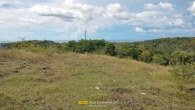 Land for sale in Tabunok, Cebu