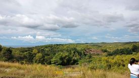 Land for sale in Tabunok, Cebu