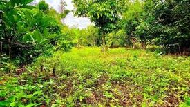 Land for sale in Silang Junction North, Cavite