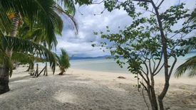 Land for sale in Port Barton, Palawan