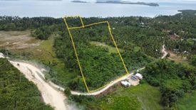 Land for sale in Port Barton, Palawan