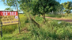 Land for sale in Phrom Phiram, Phitsanulok