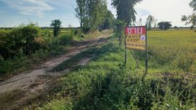 Land for sale in Phrom Phiram, Phitsanulok