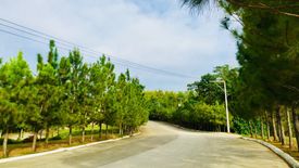 Land for sale in Talamban, Cebu