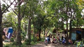 Land for sale in San Vicente, Cebu