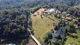 Land for sale in Pong Yaeng, Chiang Mai