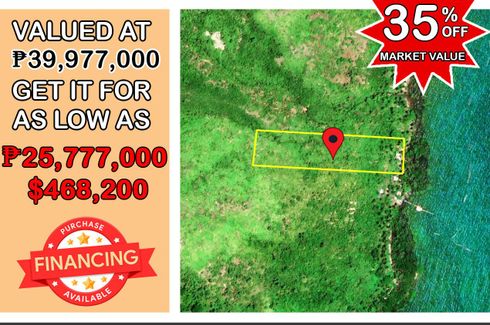 Land for Sale or Rent in Santa Lourdes, Palawan