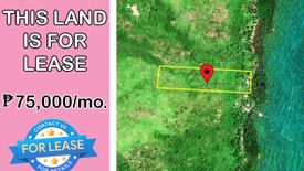 Land for Sale or Rent in Santa Lourdes, Palawan
