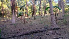 Land for sale in Kabkaban, Cebu