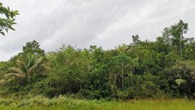Land for sale in San Isidro, Cebu