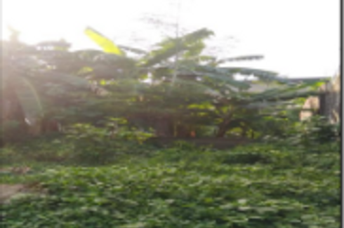 Land for sale in Cay Pombo, Bulacan