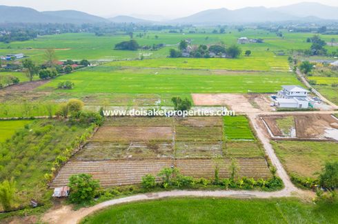 Land for sale in Pa Pong, Chiang Mai