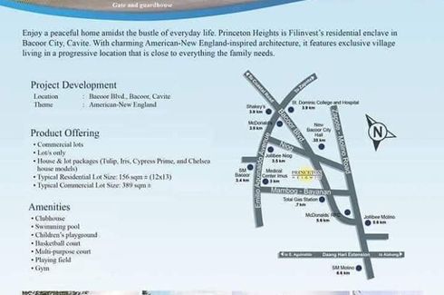 Land for sale in Princeton Heights, Bayanan, Cavite