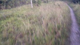 Land for sale in Tananas, Cebu