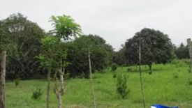 Land for sale in Pansol, Batangas