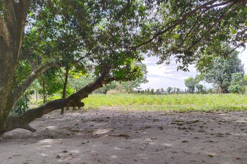 Land for sale in Pias, Pampanga
