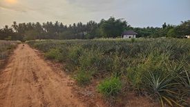 Land for sale in Wang Phong, Prachuap Khiri Khan